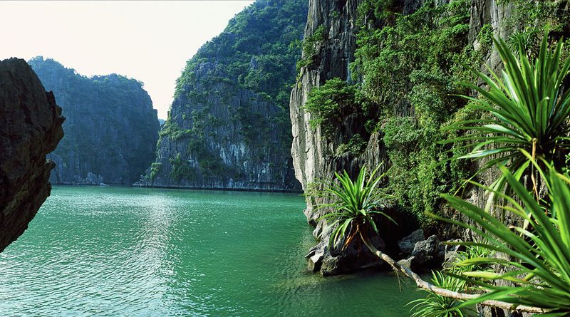 Découverte de la Baie d'Halong