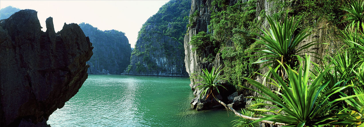 Découverte de la Baie d'Halong