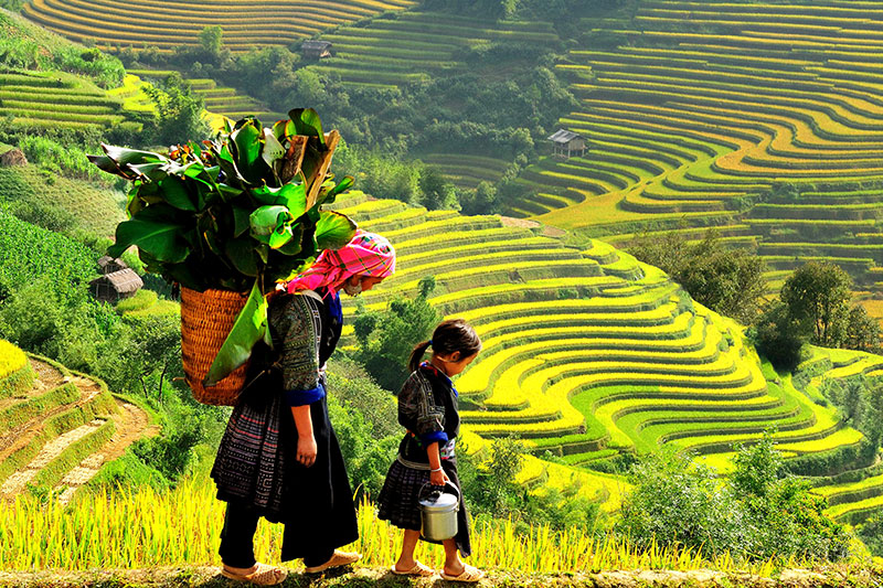 Sapa Vietnam