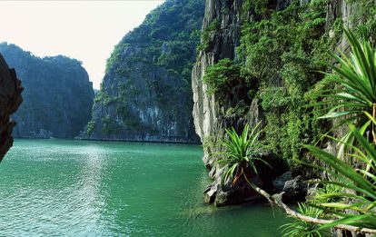 Découverte de la Baie d'Halong