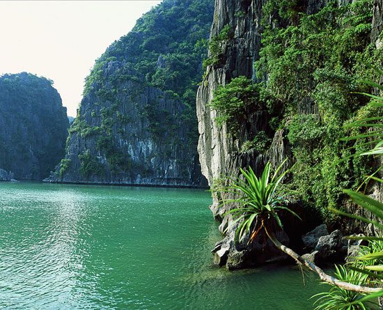 Découverte de la Baie d'Halong